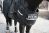 Police Horse Riot Protection - Chest protector