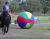 Tek's Police - Crowd Control Training Ball - Complete Set -  72