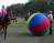 Tek's Police - Crowd Control Training Ball - Skin Only - 72