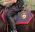 Tek's Police - Toronto - Saddle Pads