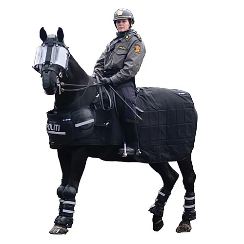Horse Riot Protection