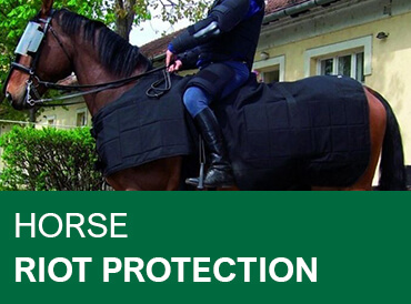 Horse Riot Protection